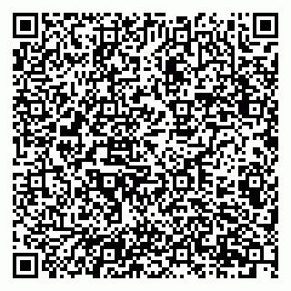 vCard 79201107271