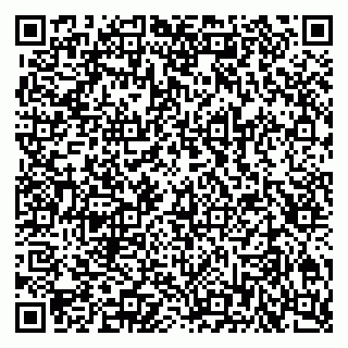 vCard 79201107272