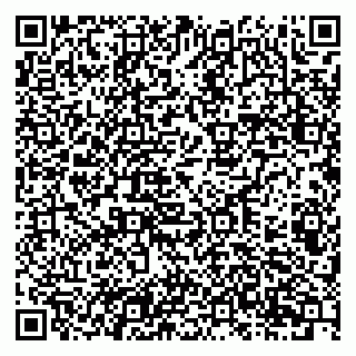 vCard 79201107281