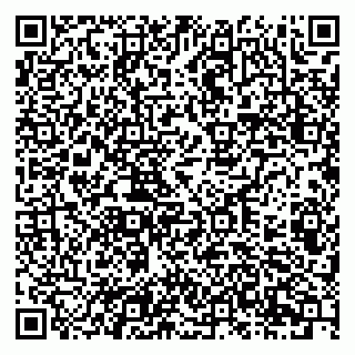 vCard 79201107285