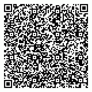 vCard 79201107295