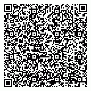 vCard 79201107313