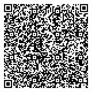 vCard 79201107317