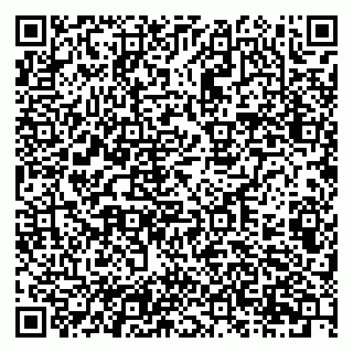 vCard 79201107331
