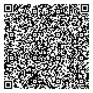vCard 79201107381