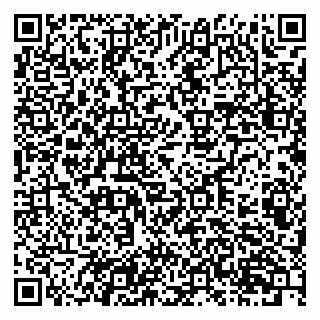 vCard 79201107403
