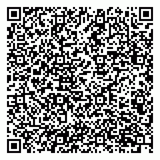 vCard 79201107733