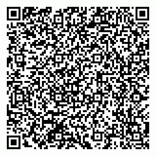 vCard 79201108413