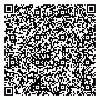 vCard 79201108729