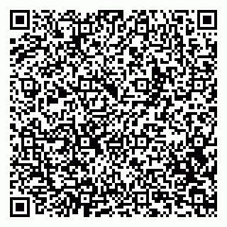 vCard 79201108833