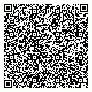 vCard 79201108931