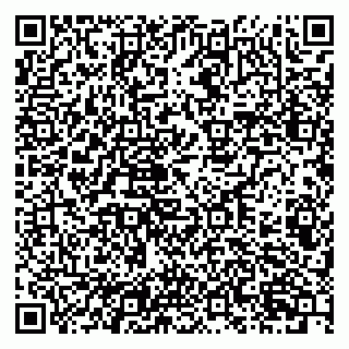 vCard 79201109013