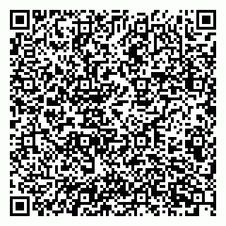 vCard 79201109031