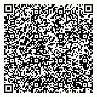vCard 79201109032
