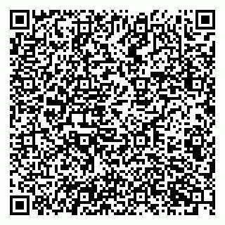 vCard 79201109039