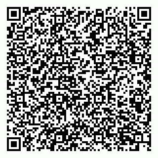 vCard 79201109073
