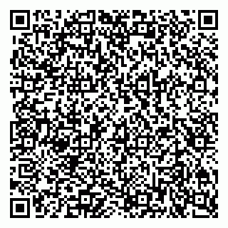 vCard 79201109174