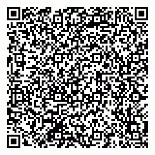 vCard 79201109251