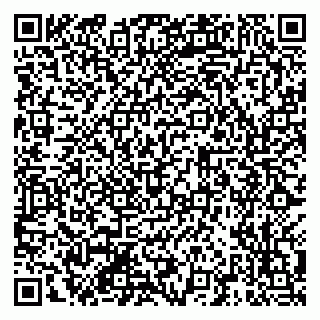 vCard 79201109733