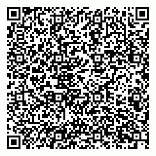 vCard 79201109737