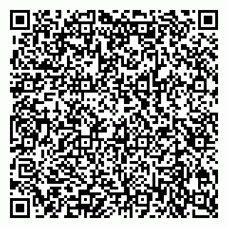 vCard 79201127879