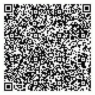 vCard 79201500021