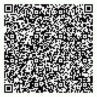 vCard 79201500098