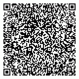 vCard 79201500111
