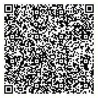 vCard 79201500131