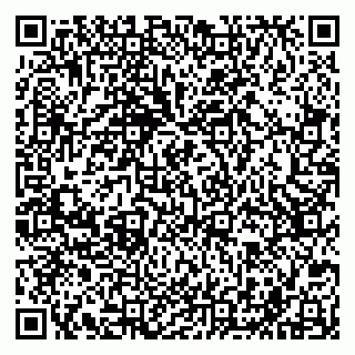 vCard 79201500173