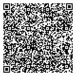 vCard 79201500181