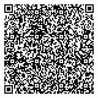 vCard 79201500191