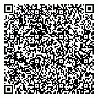 vCard 79201500194
