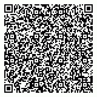 vCard 79201500213