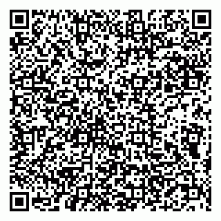 vCard 79201500217