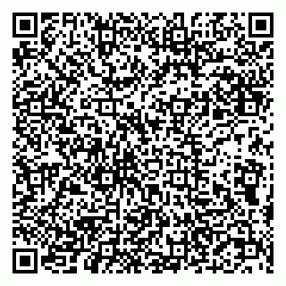 vCard 79201500233