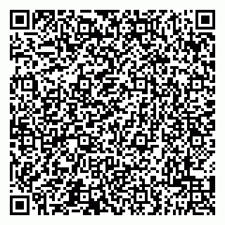 vCard 79201500237