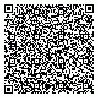 vCard 79201500239