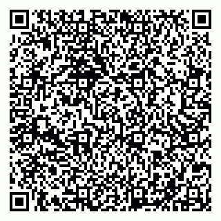 vCard 79201500265