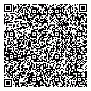 vCard 79201500272