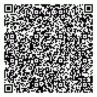 vCard 79201500273