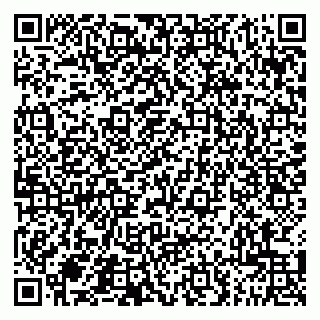 vCard 79201500287