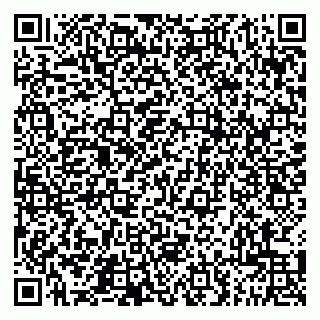 vCard 79201500289