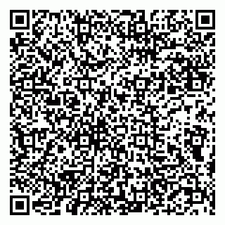 vCard 79201500292