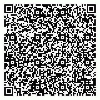 vCard 79201500294