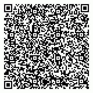 vCard 79201500299
