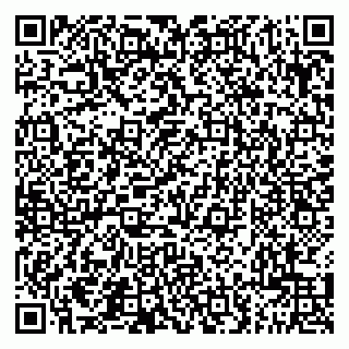 vCard 79201500307