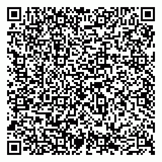 vCard 79201500311