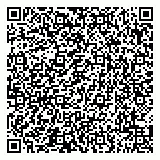 vCard 79201500313