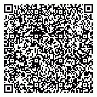 vCard 79201500314